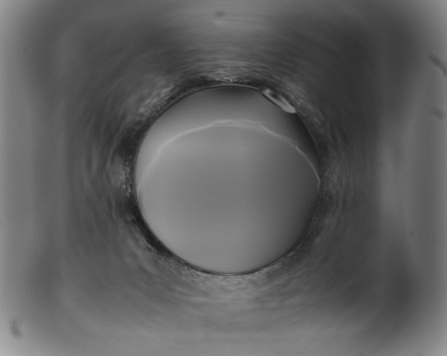 X0000099410031200805231615