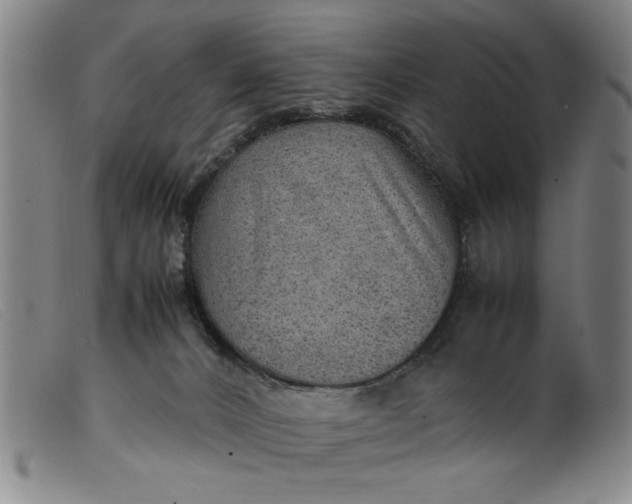 X0000099410032200805231615