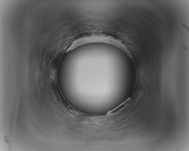 X0000099410033200805231615