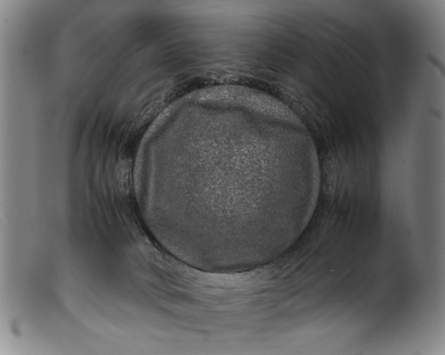 X0000099410034200805231615