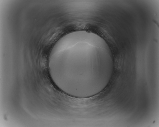 X0000099410035200805231615