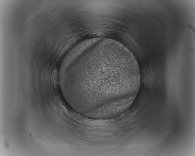 X0000099410036200805231615