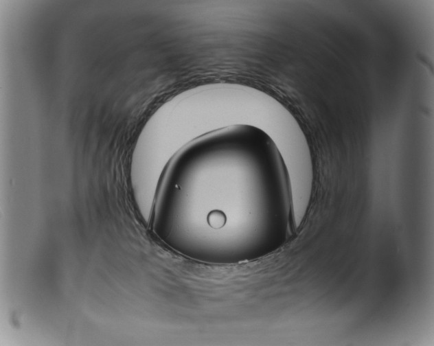 X0000099410037200805231615