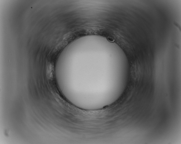 X0000099410038200805231615