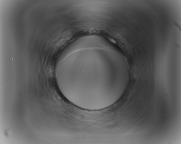 X0000099410039200805231615