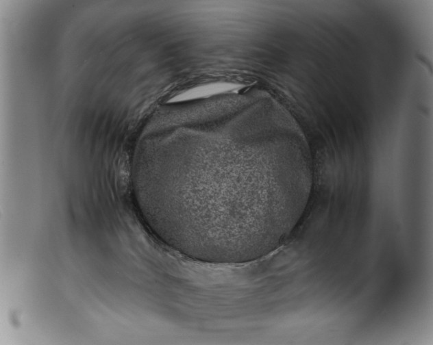 X0000099410040200805231615