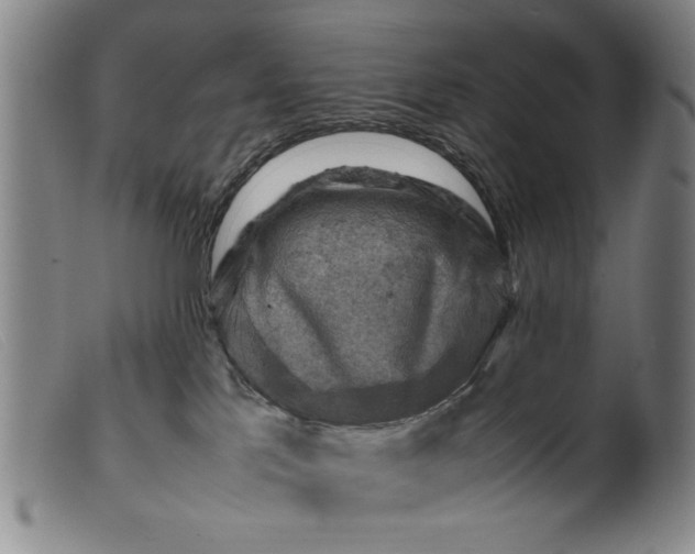 X0000099410041200805231615