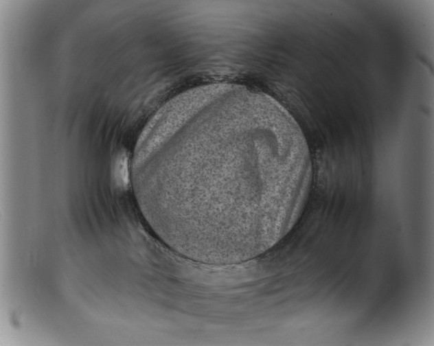 X0000099410042200805231615