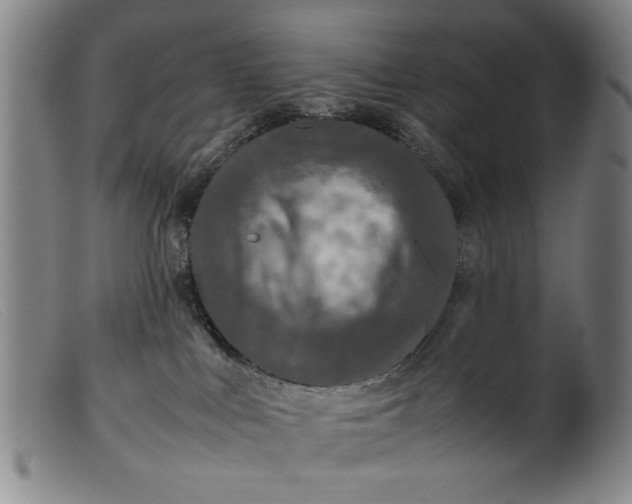 X0000099410043200805231615