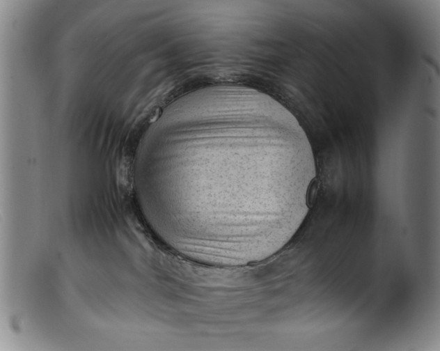 X0000099410044200805231615