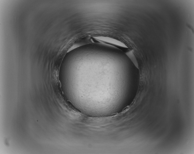 X0000099410045200805231615