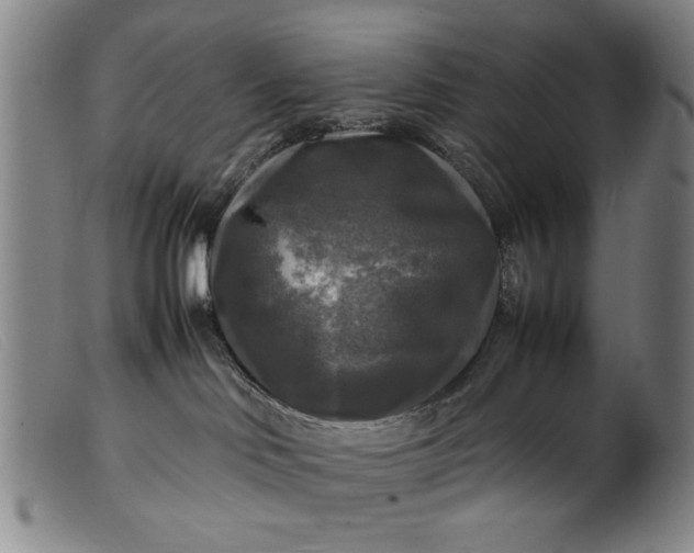 X0000099410046200805231615