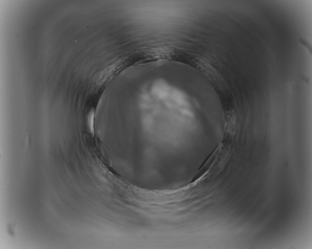 X0000099410047200805231615