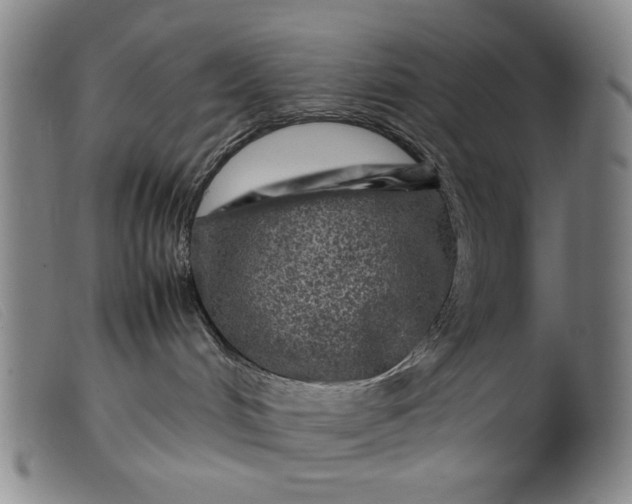 X0000099410048200805231615