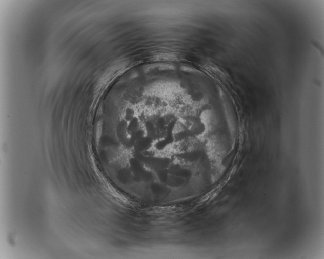 X0000099410049200805231614