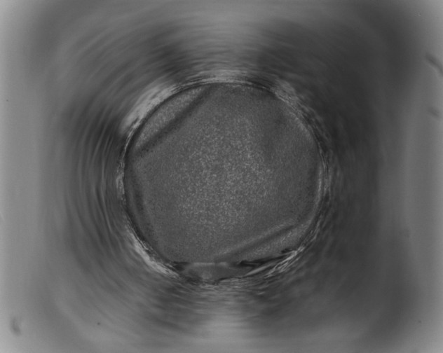 X0000099410050200805231614