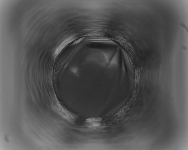 X0000099410051200805231614