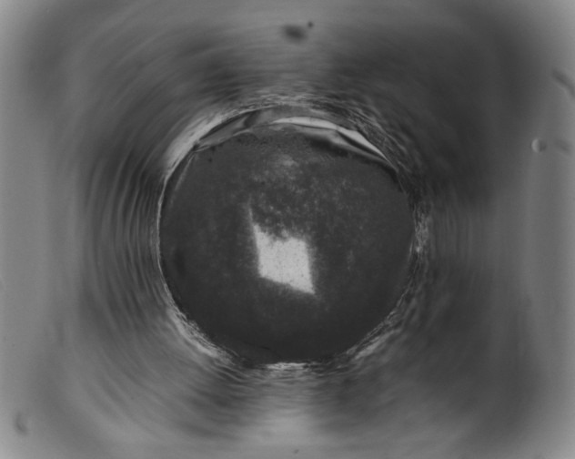 X0000099410052200805231615