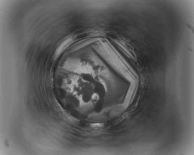 X0000099410053200805231615