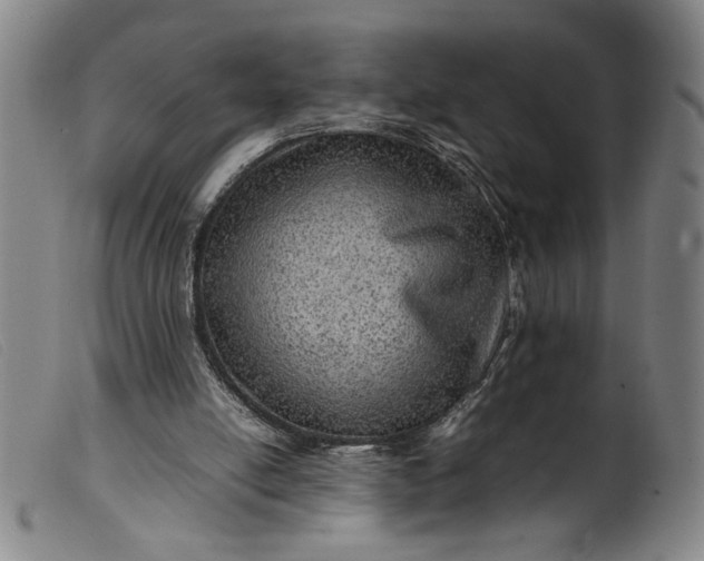 X0000099410054200805231615