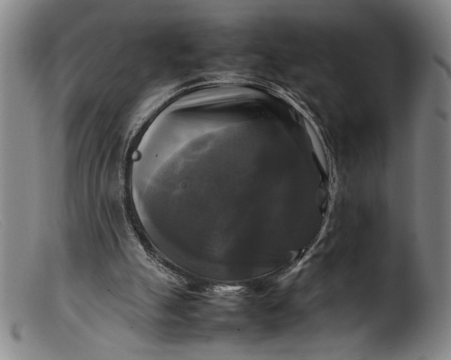 X0000099410055200805231615