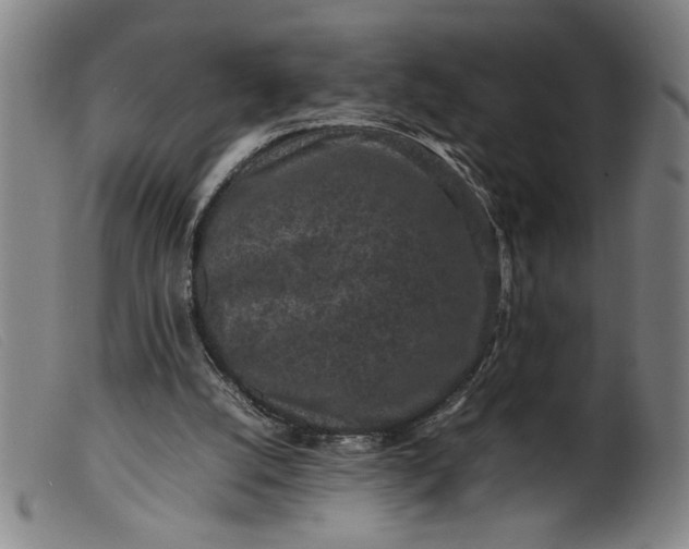 X0000099410056200805231615