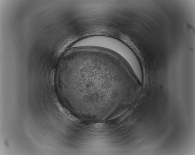 X0000099410058200805231615