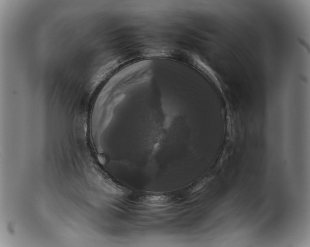 X0000099410059200805231615