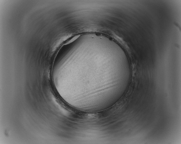 X0000099410060200805231615