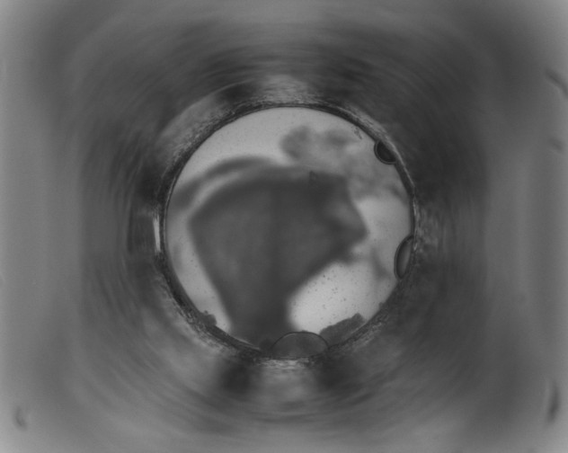 X0000099410061200805231615