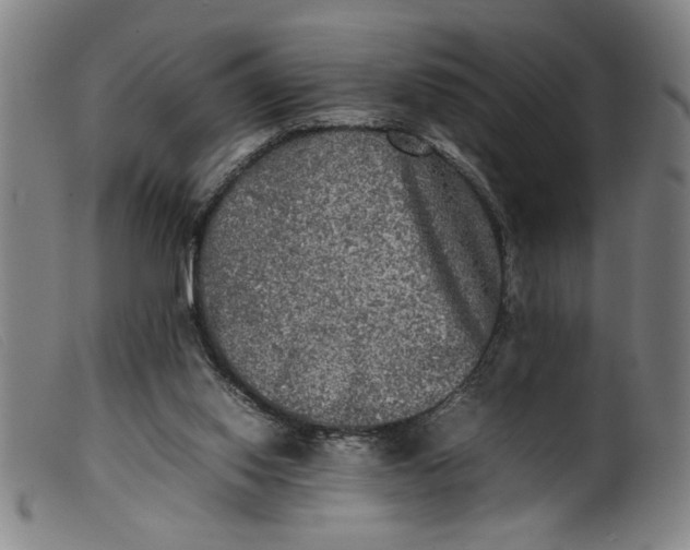 X0000099410062200805231615