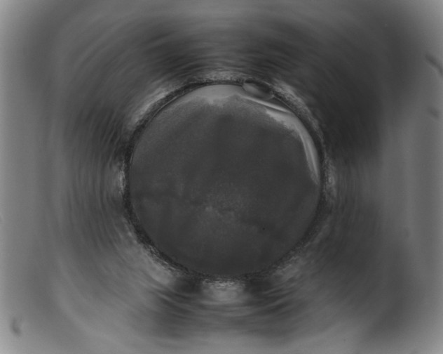 X0000099410063200805231615