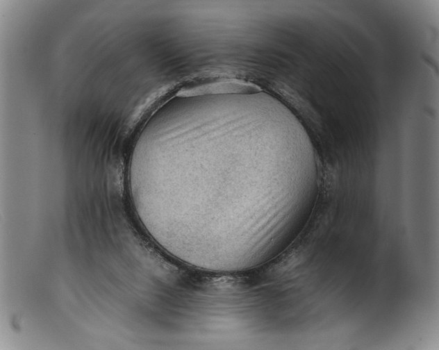 X0000099410064200805231615