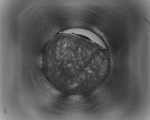 X0000099410065200805231615