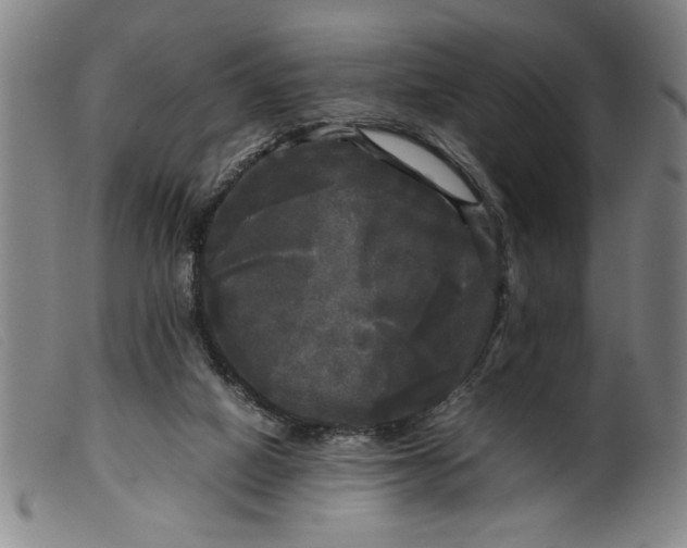 X0000099410066200805231615