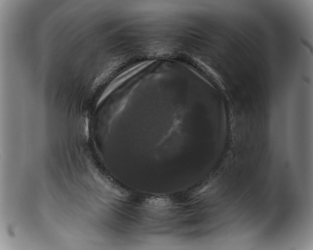 X0000099410067200805231615