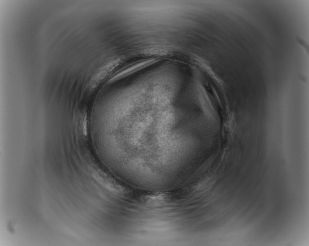 X0000099410068200805231615