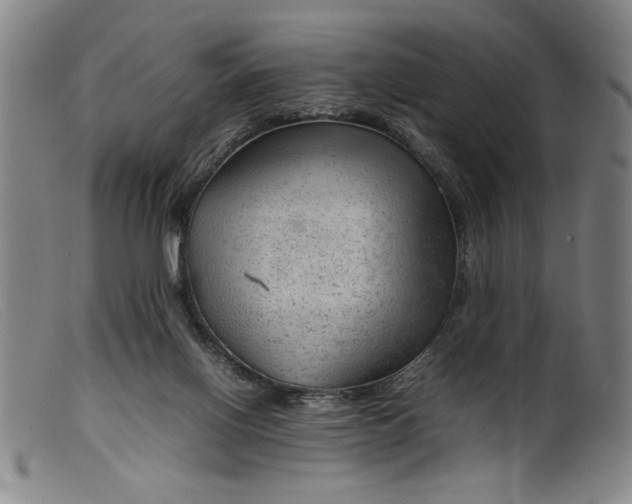 X0000099410070200805231615