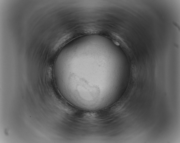 X0000099410071200805231615