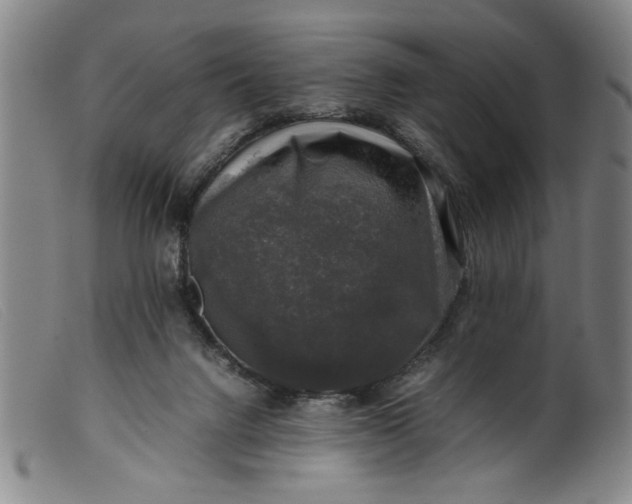 X0000099410072200805231615