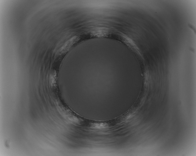 X0000099410073200805231615