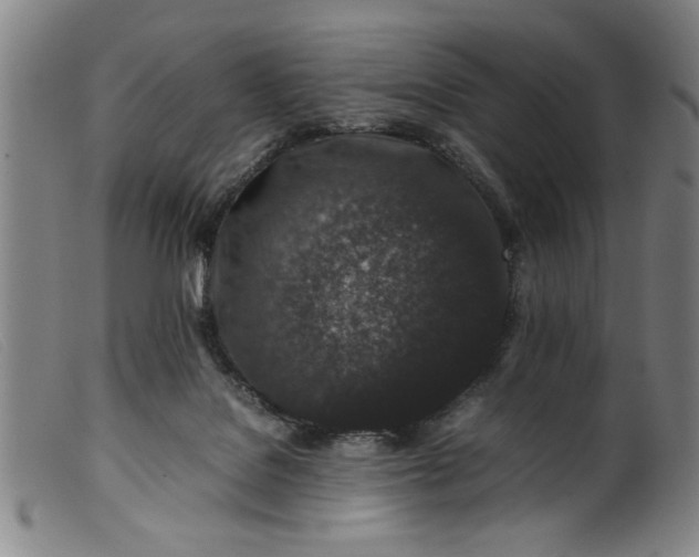 X0000099410076200805231615