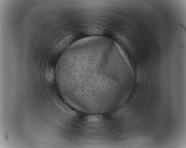 X0000099410077200805231615