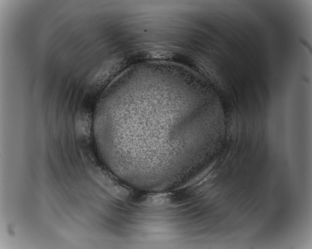 X0000099410078200805231615