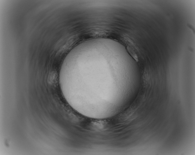 X0000099410079200805231615