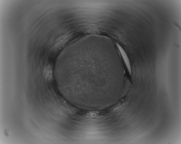 X0000099410080200805231615