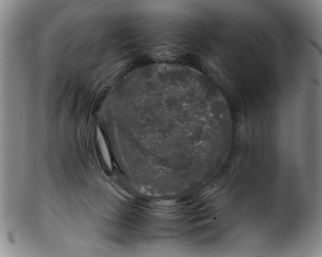 X0000099410081200805231615