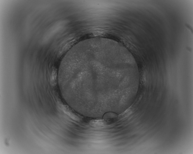 X0000099410082200805231615