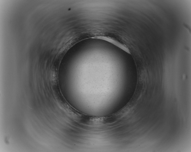 X0000099410084200805231615