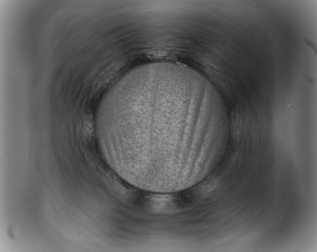 X0000099410085200805231615